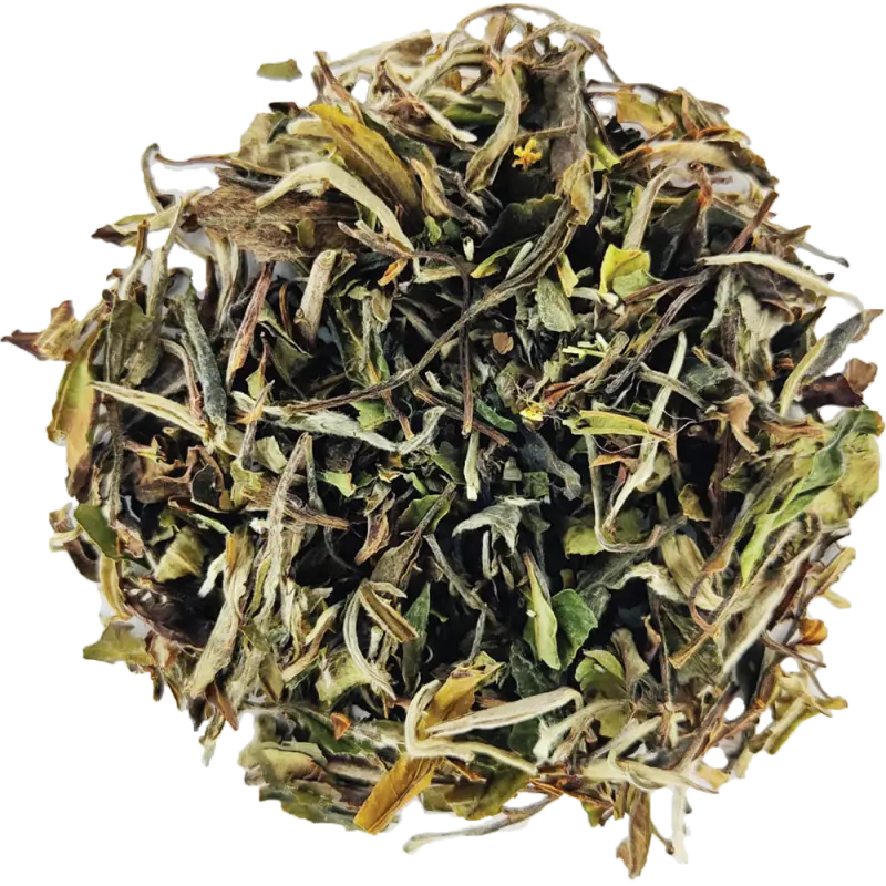 Nos thés blanc pour la récupération en journée